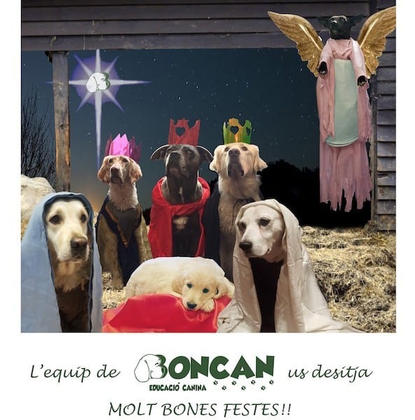 Boncan os desea Bon Nadal, Feliz Navidad y Merry Christmas