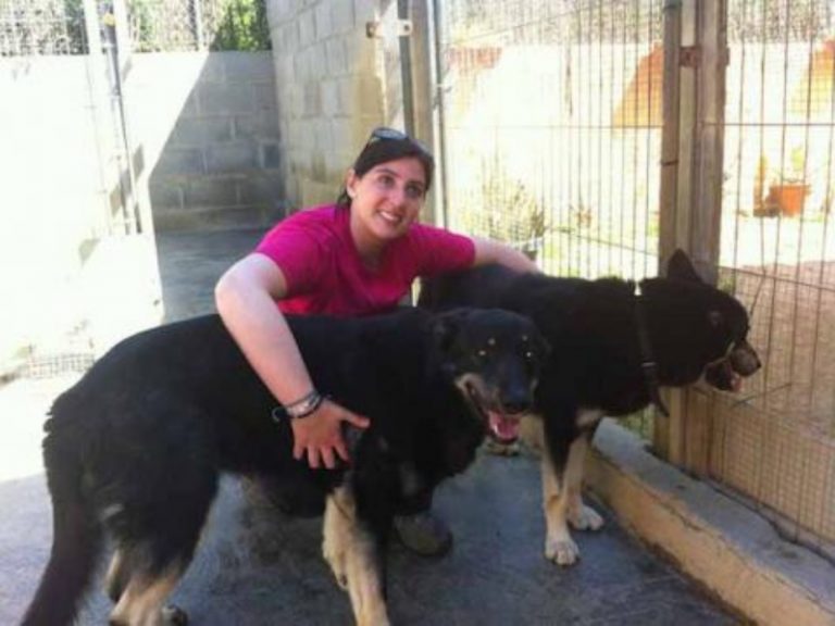 Adiestramiento Boncan perro mezcla Barcelona