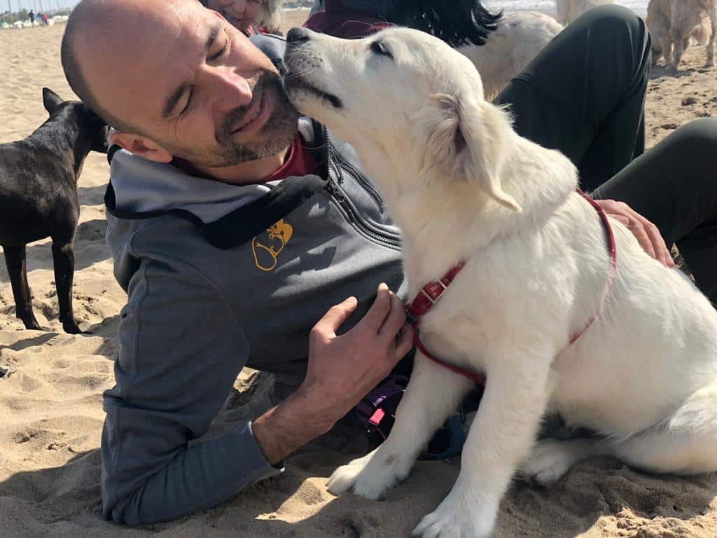 Boncan, adiestramiento, educación y modificación de conducta canina en Barcelona - Carta a nuestros mejores amigos