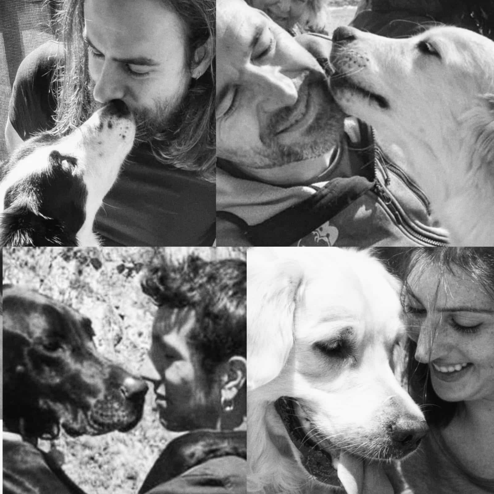 Boncan, adiestramiento, educación y modificación de conducta canina en Barcelona- Carta a nuestros mejores amigos