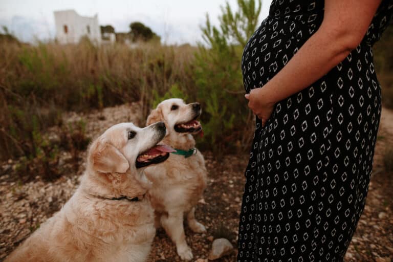 Boncan, adiestramiento, educación y modificación de conducta canina en Barcelona